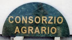 ingrandisci